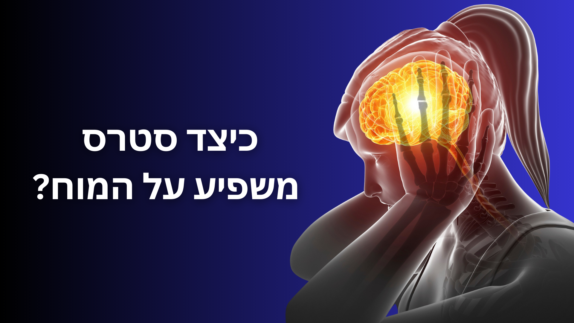 كيف يؤثر التوتر على الدماغ (1)